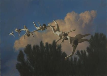 Artwork Title: Sky Fly