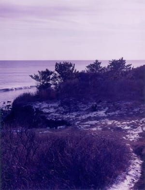 Artwork Title: Cliff in Montauk