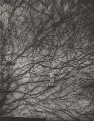Artwork Title: Untitled