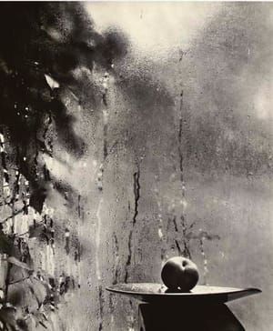 Artwork Title: Untitled