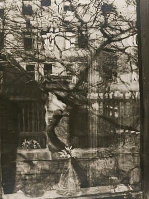 Artwork Title: Window From Outside, Spring