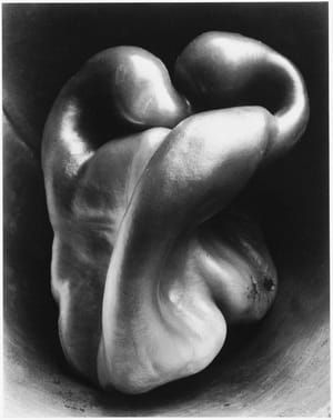 Artwork Title: Pepper #30