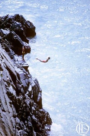 Artwork Title: Cliff Dive