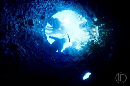 Artwork Title: Divers