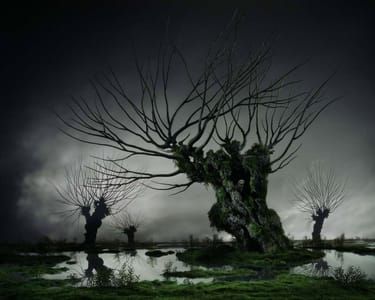 Artwork Title: Untitled