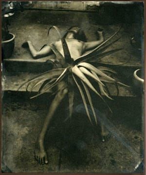 Artwork Title: Untitled