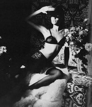Artwork Title: Veruschka