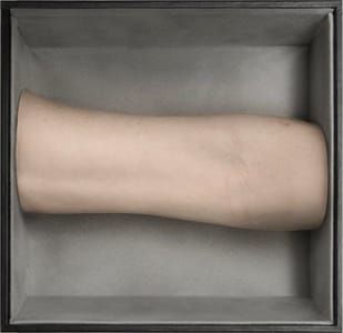Artwork Title: Hieroglyph of my body