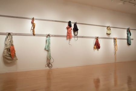 Artwork Title: Clusters (installation view)