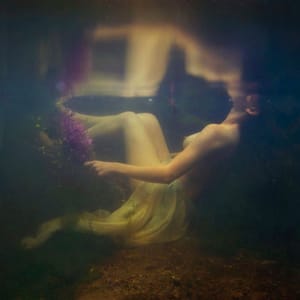 Artwork Title: The Quiet Death