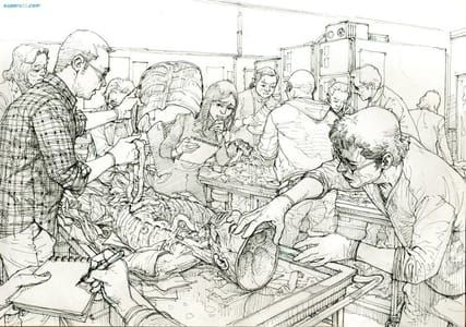 Artwork Title: Untitled