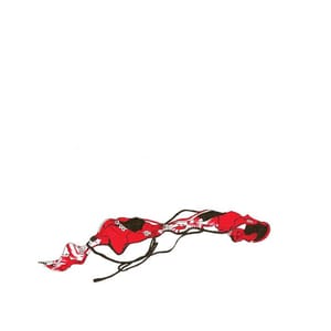 Artwork Title: Bathing Suit
