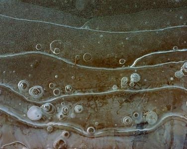 Artwork Title: Untitled