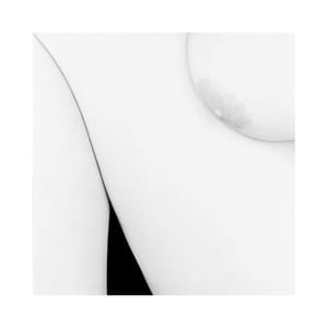 Artwork Title: Untitled