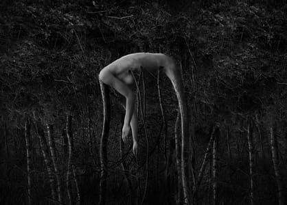 Artwork Title: Untitled