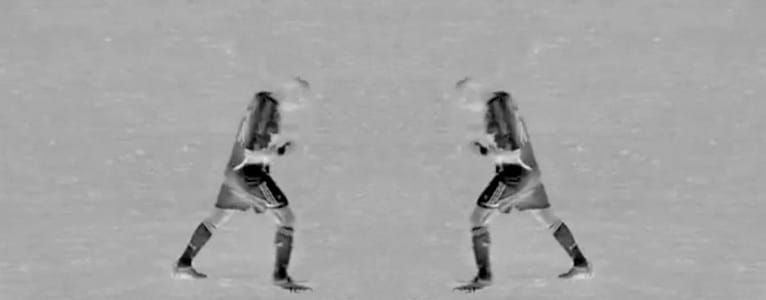 Artwork Title: Zizou