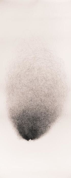 Artwork Title: Hair Brain 12