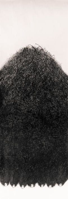 Artwork Title: Hair Brain 3