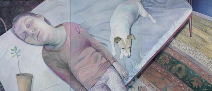 Artwork Title: Narcolepsy In Pink