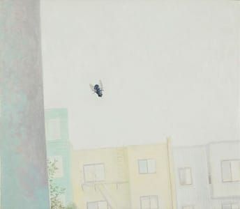 Artwork Title: Fly