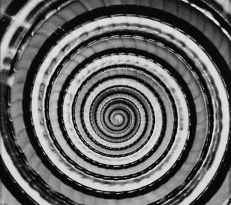 Artwork Title: Close Up from Sundial Shell
