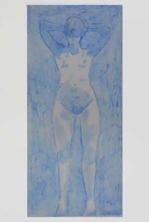 Artwork Title: Nue Bleu
