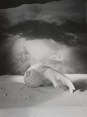 Artwork Title: Untitled (Hand-shell)