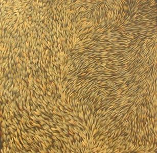 Artwork Title: Bush Medicine