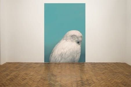 Artwork Title: Untitled