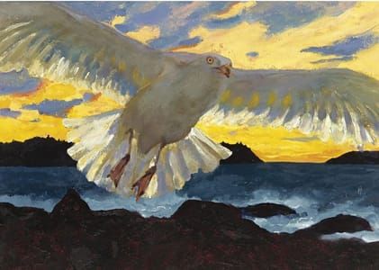 Artwork Title: Dawn Gull