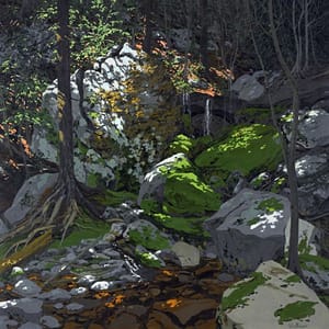 Artwork Title: Anonymous Freshet