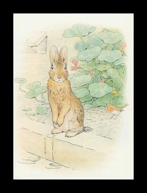 Artwork Title: Peter Rabbit