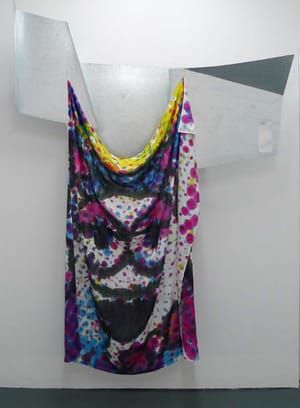 Artwork Title: untitled Shroud