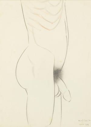 Artwork Title: Self Portrait (Torso)