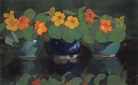 Artwork Title: Nasturtiums