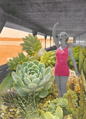 Artwork Title: Les plantes grasses  (Succulents)