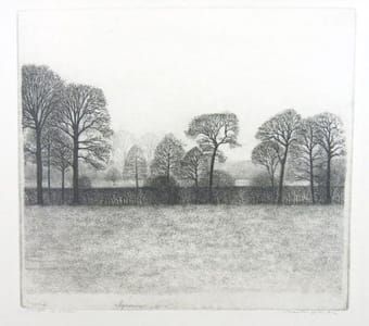 Artwork Title: Rhijnouwen