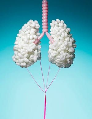 Artwork Title: Pneumatic Anatomy