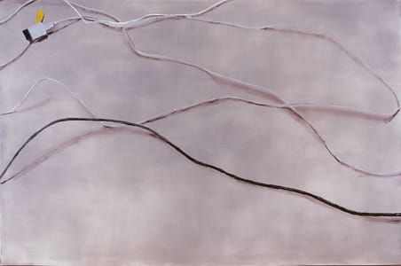 Artwork Title: Untitled (Cables) X