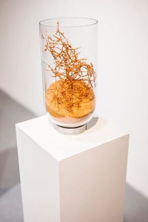 Artwork Title: Untitled