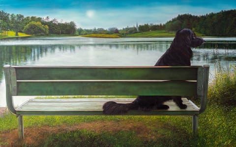 Artwork Title: Park Bench