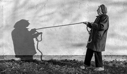 Artwork Title: Shadow Series