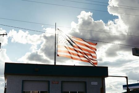 Artwork Title: Flag