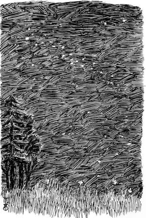 Artwork Title: Night Sky