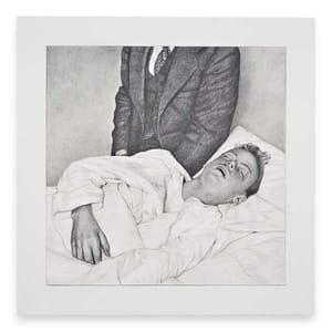 Artwork Title: Dormant
