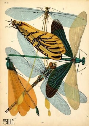 Artwork Title: Plate 9