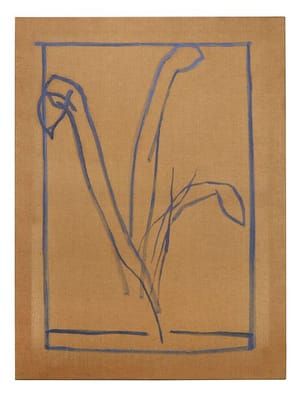 Artwork Title: Plant en gris