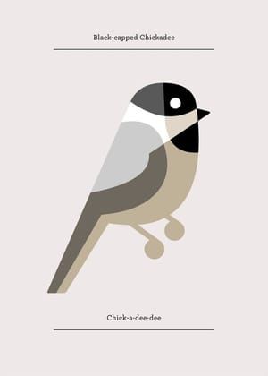 Artwork Title: Black-Capped Chickadee