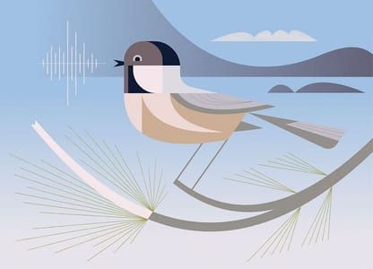 Artwork Title: Chickadee Dee Dee