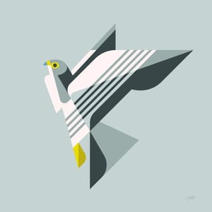 Artwork Title: Peregrine Falcon